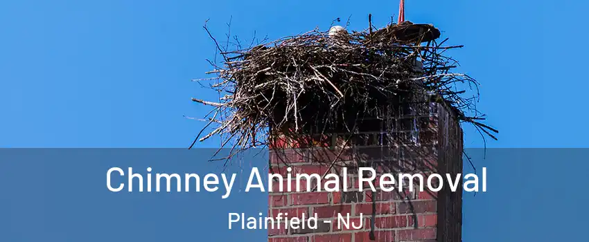 Chimney Animal Removal Plainfield - NJ