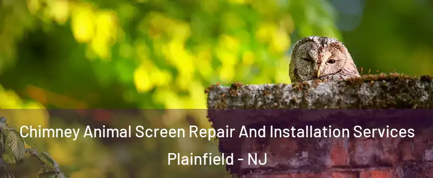  Chimney Animal Screen Repair And Installation Services Plainfield - NJ