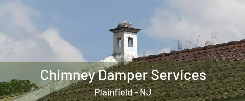  Chimney Damper Services Plainfield - NJ