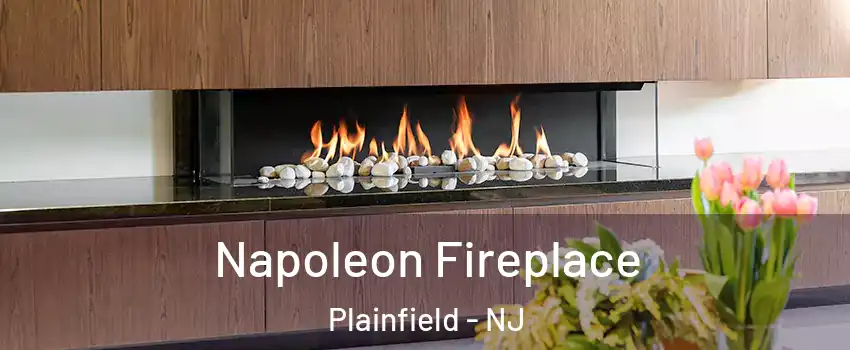 Napoleon Fireplace Plainfield - NJ